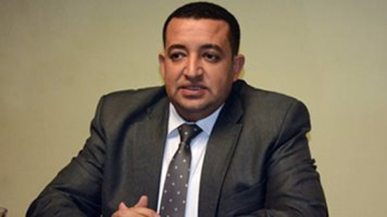  النائب تامر عبدالقادر عضو مجلس النواب