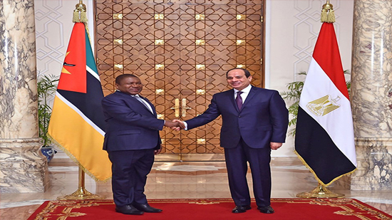  السيسى يلتقى رئيس موزمبيق يبحثان تطوير العلاقات الاقتصادية بين البلدين 