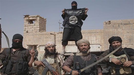 د. مفيد فوزي للبابا: هل يساعد الله داعش؟