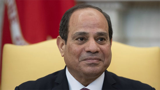 السيسي يعود إلى القاهرة بعد المشاركة بقمة الاتحاد الأفريقي في النيجر
