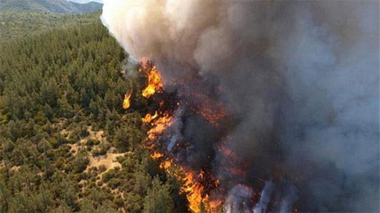 حرائق الغابات تجتاح كرواتيا