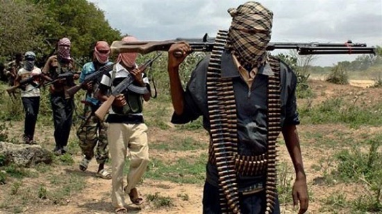  بوكو حرام تقتل 23 شخصًا بنيجيريا والأزهر يدعو للتصدي لأفراد هذه الجماعة الإرهابية
