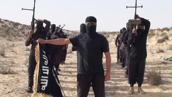  ديلي ميل : تنظيم القاعدة في خطر بعد مقتل 