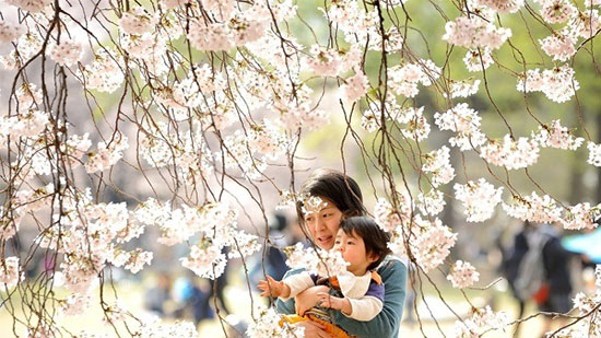 قواعد تربية الأطفال في اليابان والتي جعلت منه كوكبا آخر
