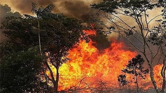  أكاذيب حول حرائق الأمازون