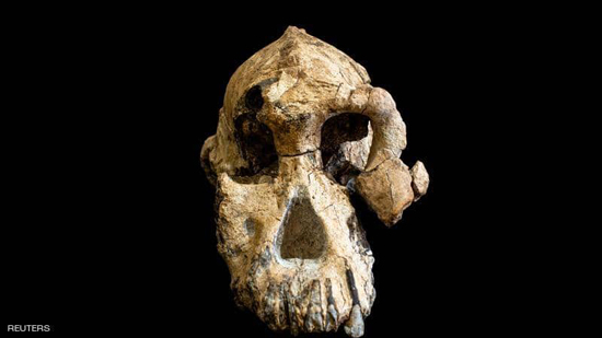 اكتشاف هام في إثيوبيا.. جمجمة عمرها 3.8 مليون عاما
