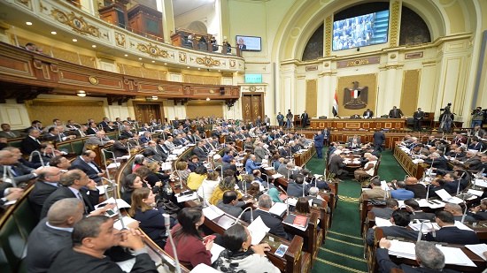 بعد تعرضهم للنصب.. أول تحرك برلماني بشأن أزمة الطلبة المصريين بأوكرانيا

