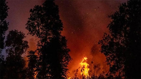 السلطات الإندونيسية تغلق 30 شركة بسبب حرائق الغابات