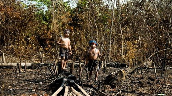 304 قبائل تواجه خطر الموت في البرازيل بسبب حرائق الأمازون