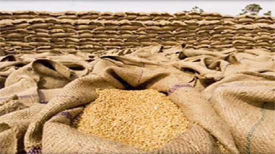  الإمارات والسعودية تقدمان 200 ألف طن من القمح للسودان 