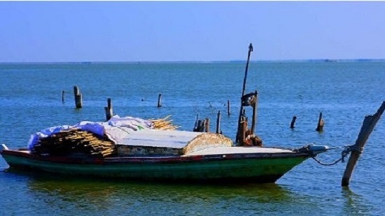 استمرار حملة ازالة التعديات على بحيرة البرلس ومواجهة «الصيد الجائر»
