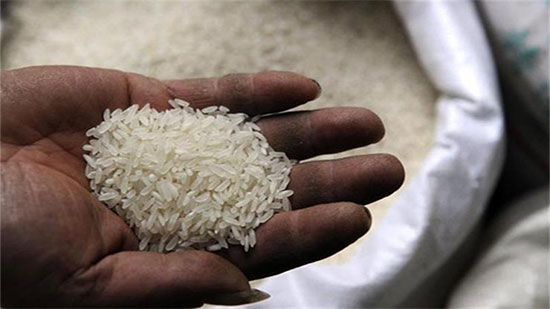 لماذا هبطت أسعار الأرز بشكل كبير في السوق المصري هذا العام؟
