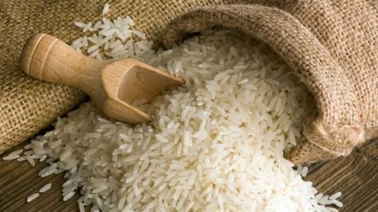 شعبة الأرز: تراجع كبير في أسعار شراء الأرز هذا العام