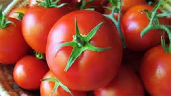 الطماطم بـ 5 جنيهات .. أسعار الخضروات والفاكهة اليوم الثلاثاء 1 - 10 - 2019 في مصر