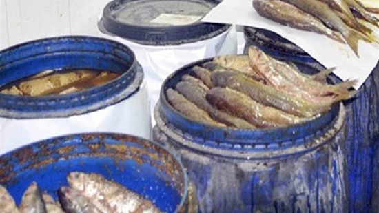 ضبط 5 طن أسماك مملحة فاسدة وطن ونصف جبن فاسد ومكملات غذائية غير مرخصة