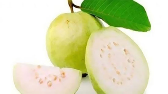  تحارب السرطان.. تعرف على فوائد الجوافة 