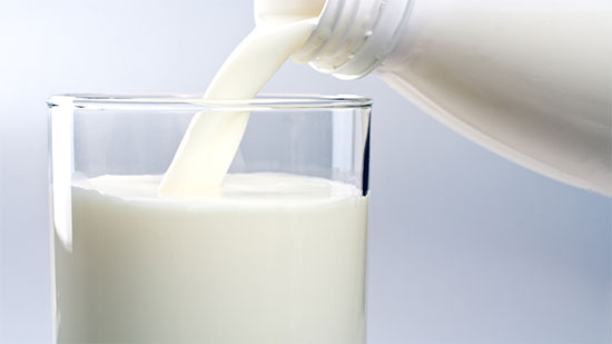 تعرف على الفرق بين الحليب الجاموسي والبقري