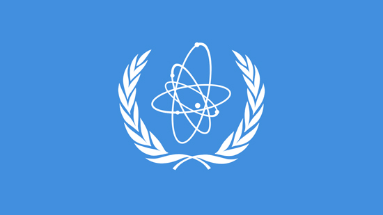  استطلاعات تمهيدا لانتخاب المدير العام للوكالة الدولية للطاقة الذرية 