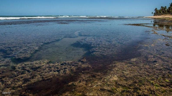 تلوث أجمل شواطئ البرازيل.. و