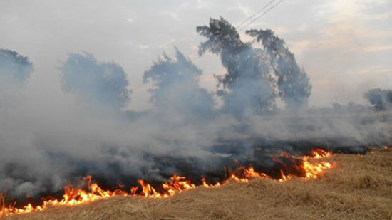 فحص 2565 سيارة وتحرير 144 محضرا لحرق المخلفات الزراعية بالبحيرة
