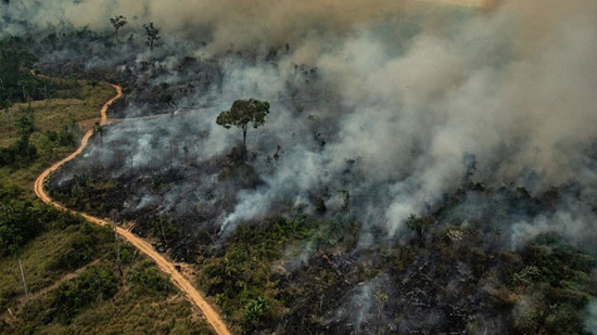 غابات أمازون الاستوائية تواجه خطر الشح في الأمطار!