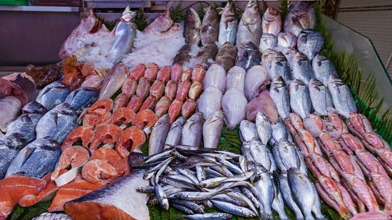أسعار الأسماك اليوم الأحد 10-11-2019