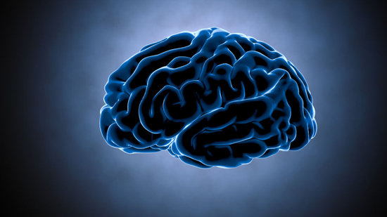 10 أشياء تساهم في تعزيز نمو الخلايا العصبية وتحسين صحة الدماغ