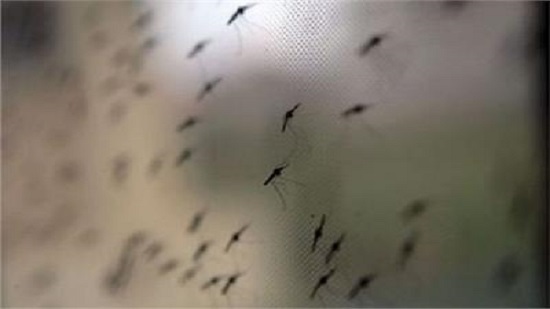 هجمات من الحشرات الناقلة للأمراض