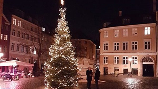  الدنمارك تستعد لأعياد الميلاد بشجرة عملاقة