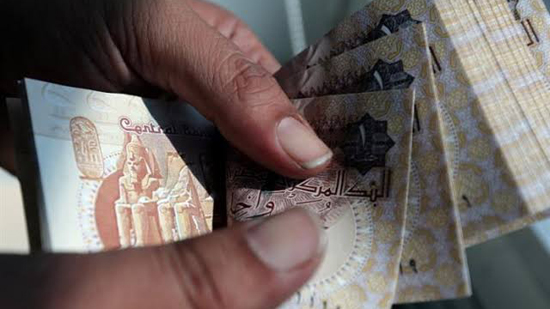  بلومبرج : الشركات المصرية تجني ثمار تعويم الجنيه