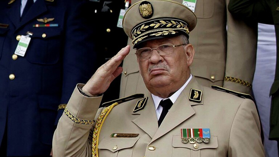 رئيس أركان الجيش الجزائري أحمد قايد صالح