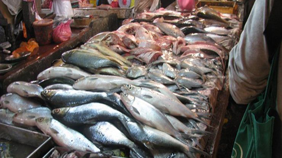 ارتفاع أسعار الأسماك بسوق العبور اليوم السبت 30/ 11/ 2019