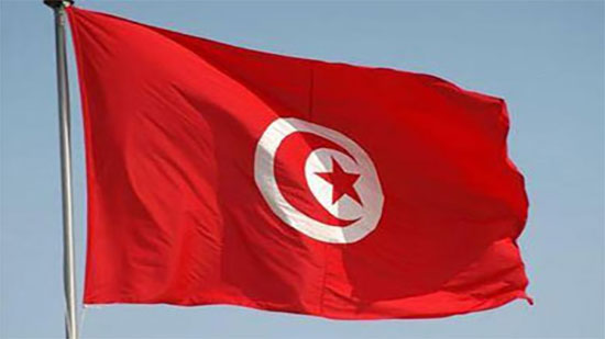 تونس تدرج «التربية الجنسية» ضمن المناهج المدرسية للأطفال
