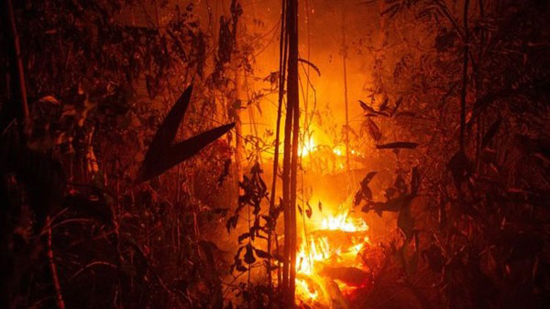 أسترالية تلقى بقايا منزلها المدمر بسبب حرائق الغابات أمام البرلمان