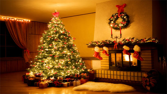 مع اقتراب عيد الميلاد.. تعرف على أسعار شجرة 