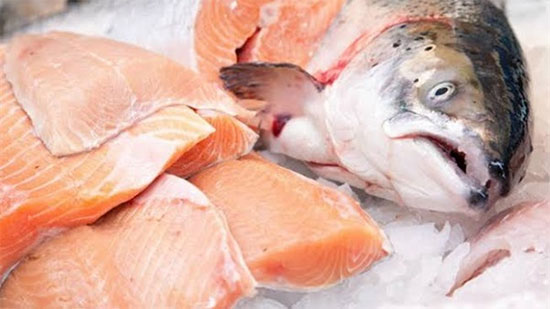 خبيرة تغذية تنصح بالابتعاد عن تناول السمك ذى الحجم الكبير (فيديو)