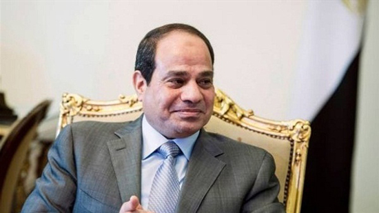 السيسي لـ رئيس المجلس الأوروبي: مصر تتصدى للهجرة غير الشرعية والإرهاب
