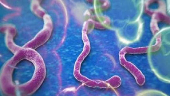 إدارة الدواء الأمريكية توافق على اعتماد لقاح للوقاية من الإيبولا
