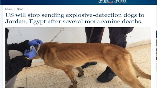 أمريكا تحظر تصدير الكلاب البوليسية إلى مصر