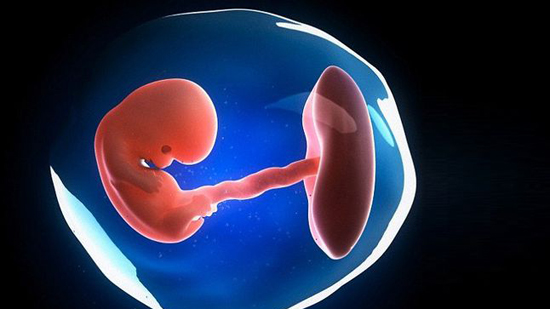 ما هي علامات وفاة الجنين قبل ولادته؟
