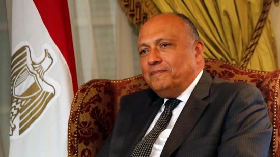 شكري يؤكد لقيادات الخارجية أهمية تكثيف الجهود لمواصلة تنفيذ أهداف السياسة المصرية
