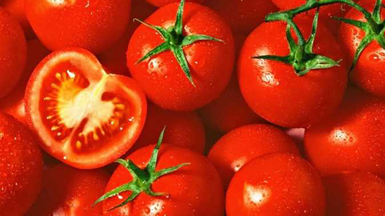نقيب الفلاحين: انتظروا ارتفاعًا جنونيًا في أسعار الطماطم لن يستطيع أحد وقفه
