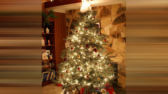  شجرة الميلاد..رمز للمسيح وأيقونة الإحتفال برأس السنة الميلادية