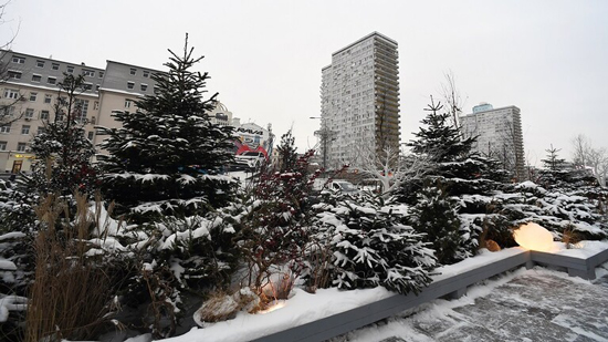 نائب روسي في سيبيريا يقترح إهداء ثلج نقي لموسكو بمناسبة رأس السنة
