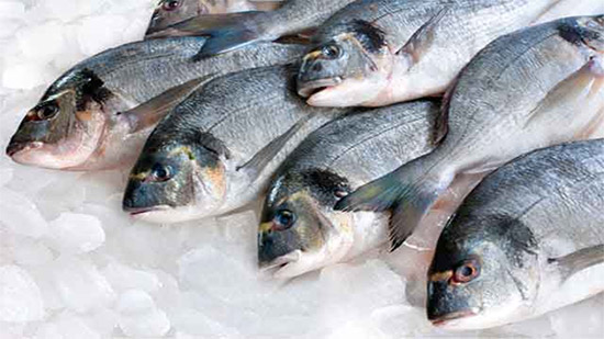 في ليلة رأس السنة 2020.. 10 فوائد صحية لتناول وجبة الأسماك