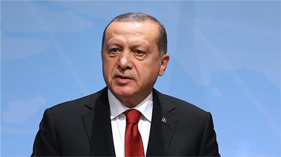  منظمة حقوقية تتهم أردوغان بارتكاب جرائم ضد حقوق الإنسان