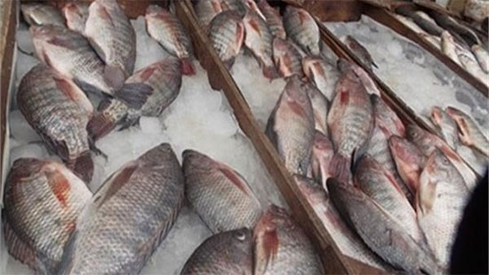 القابضة للصناعات الغذائية تخفض أسعار 10 أنواع من الأسماك الطازجة والمجمدة 