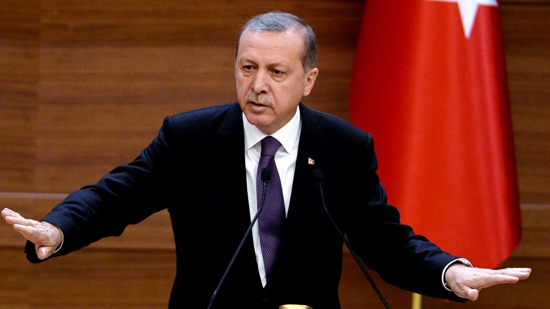 وكالة الأنباء الروسية : أردوغان طلب مساعدة بوتين لمنع تقدم الجيش السوري
