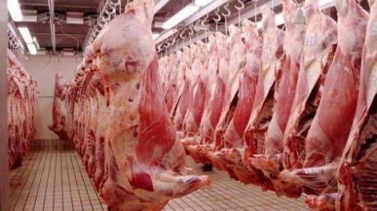 استقرار أسعار اللحوم اليوم السبت 25 يناير 2020