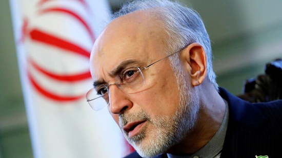 رئيس المنظمة الإيرانية للطاقة الذرية علي أكبر صالحي